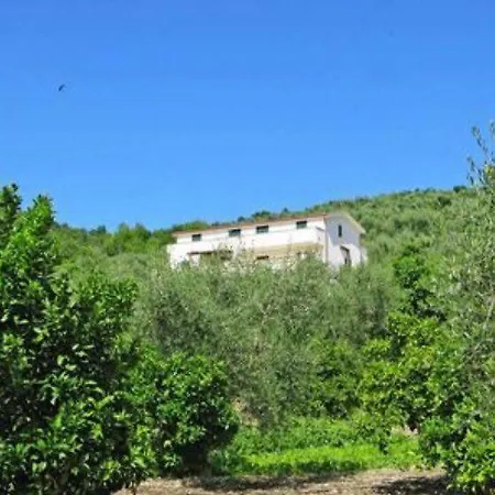 Immersa Nel Verde بيسْكيتْشّي