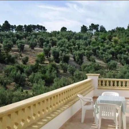 Immersa Nel Verde بيسْكيتْشّي
